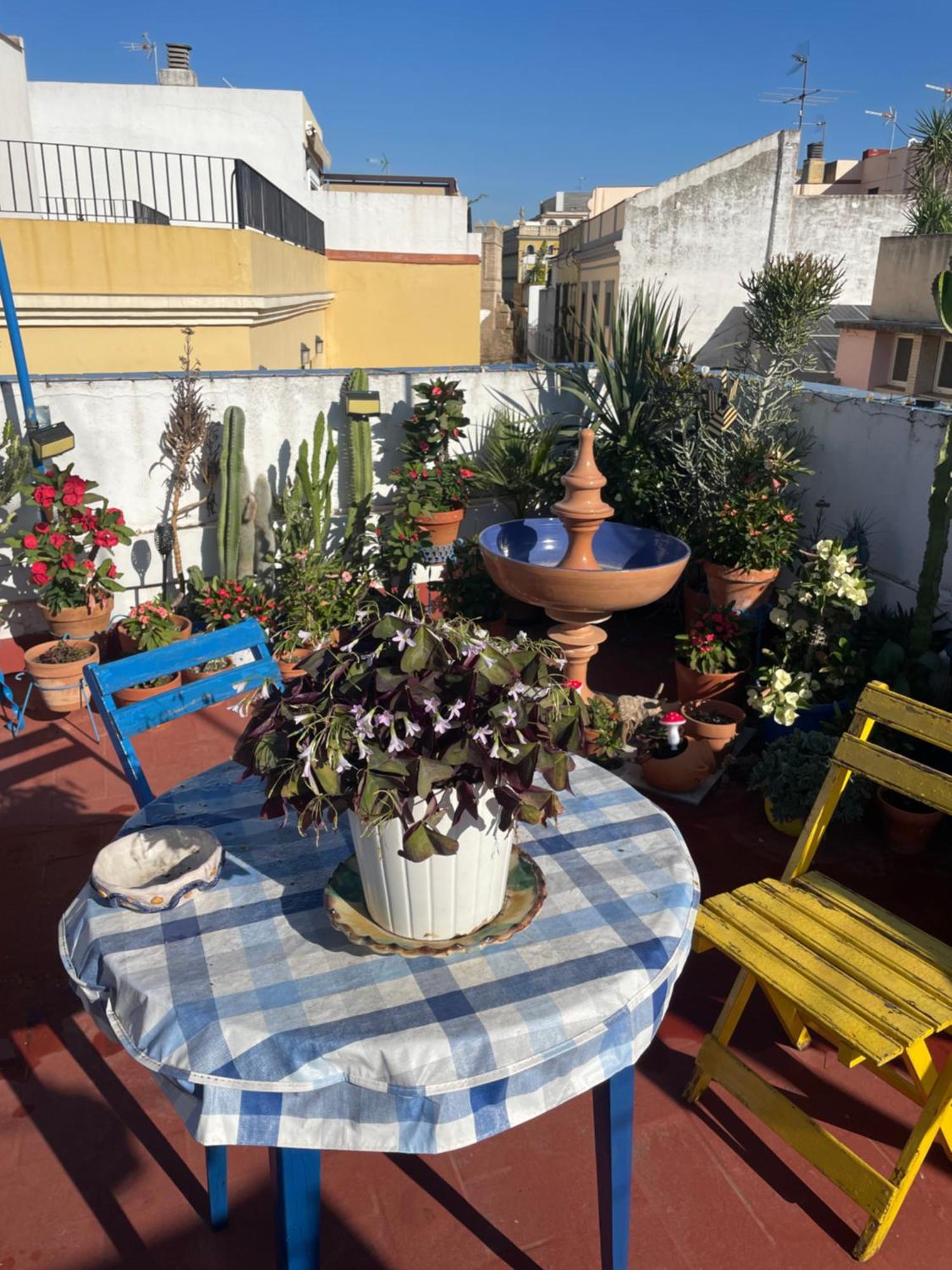 Arco Macarena Apartment Seville Luaran gambar